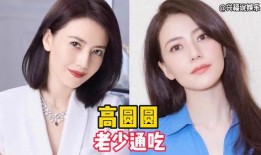 中国娱乐圈吃瓜明星小说,揭秘吃瓜明星背后的故事